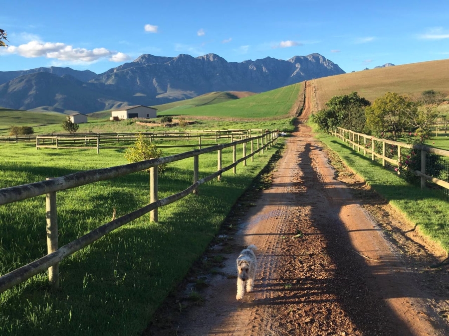 3 Bedroom Property for Sale in Bredasdorp Western Cape